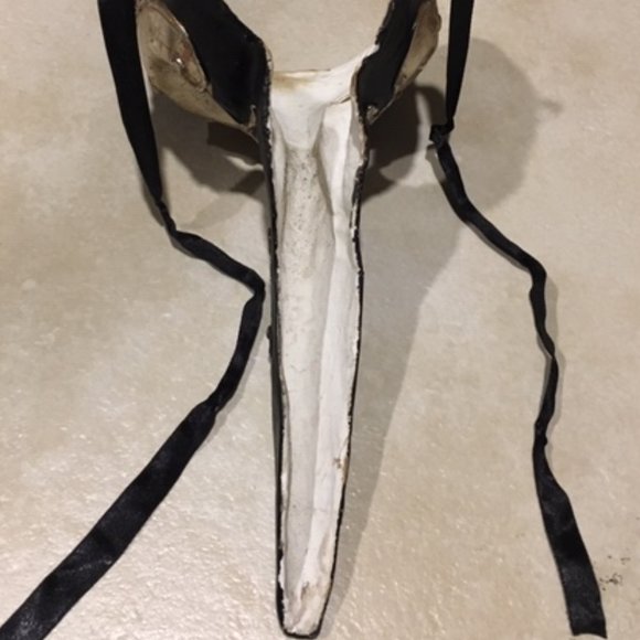 Unique Carnival Venetian Mask Doctor of The Plague w/Gold Embellishment & Pics - Picture 8 of 16